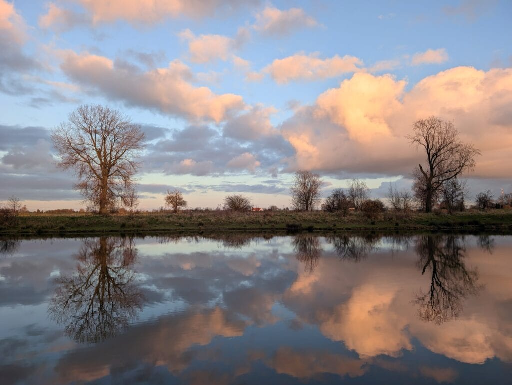 Foto van de bomen weerspiegeld in de maas